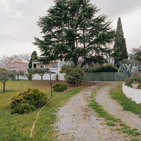 Les Gites De Ginestas エクステリア 写真